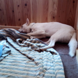 「毎日暑いね」サムネイル2