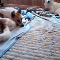 「毎日暑いね」サムネイル3