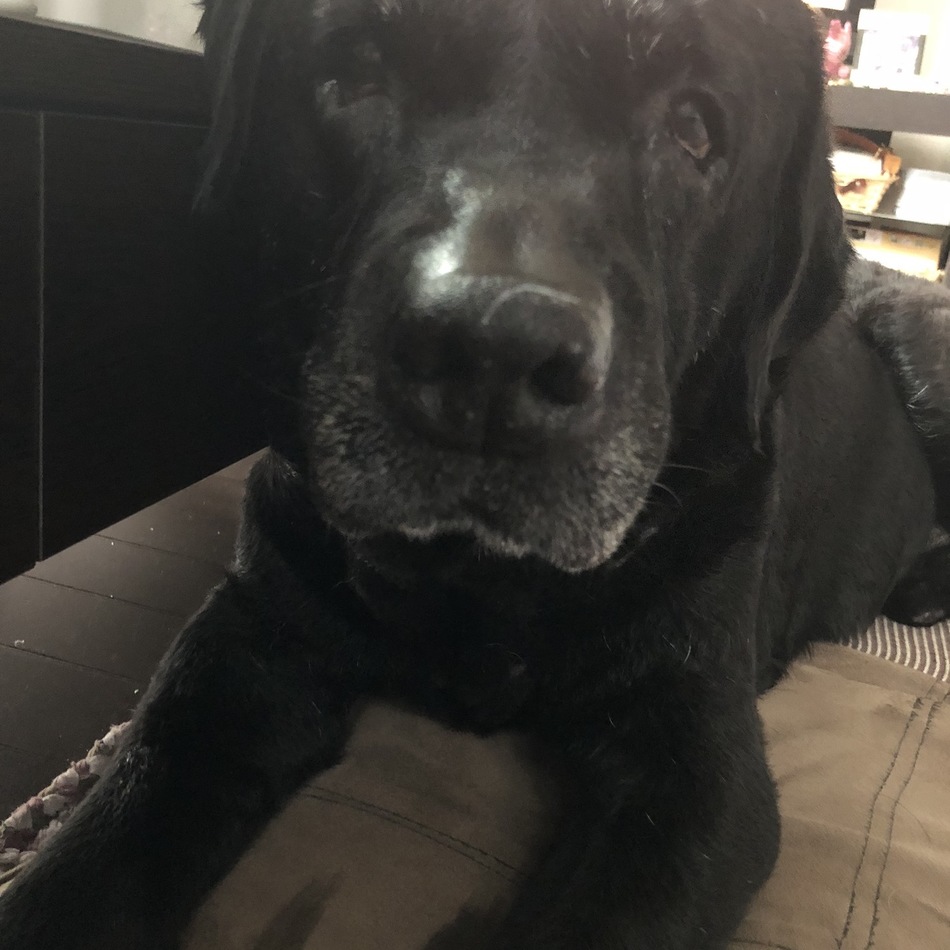 タカノ レオンのカバー写真