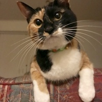 むぎ