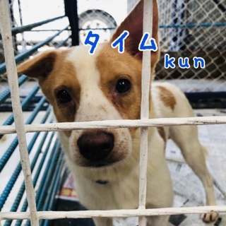 タイム kun ⭐️ 懐っこい甘えん坊❤️