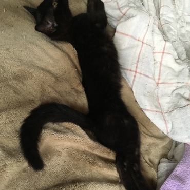 のびのび育ってます。