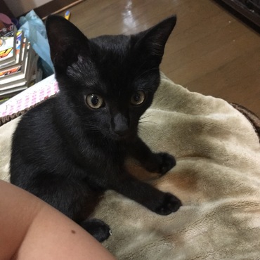 携帯をいじっていたら横で待ってる