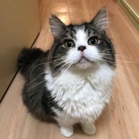 とろみ