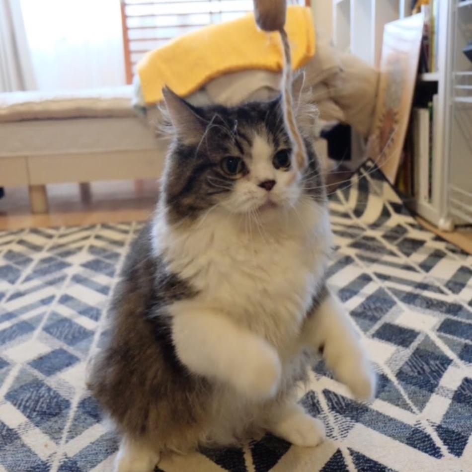 とろみのカバー写真
