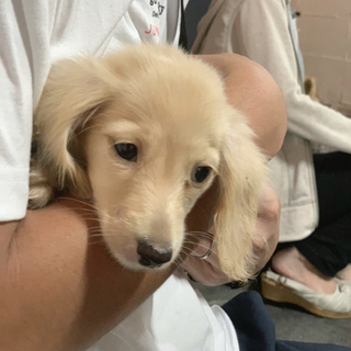 暖かい家族が決まりました！ありがとうございました。