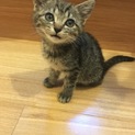 引渡し終了