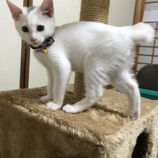 宜しくお願いします