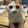 こじこじ1歳！大きくなりました！すごいやんちゃ