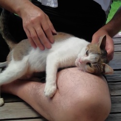 「ミグの慣れ方が！！=^_^=」サムネイル1