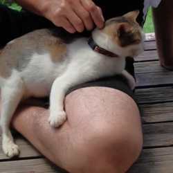 「ミグの慣れ方が！！=^_^=」サムネイル2