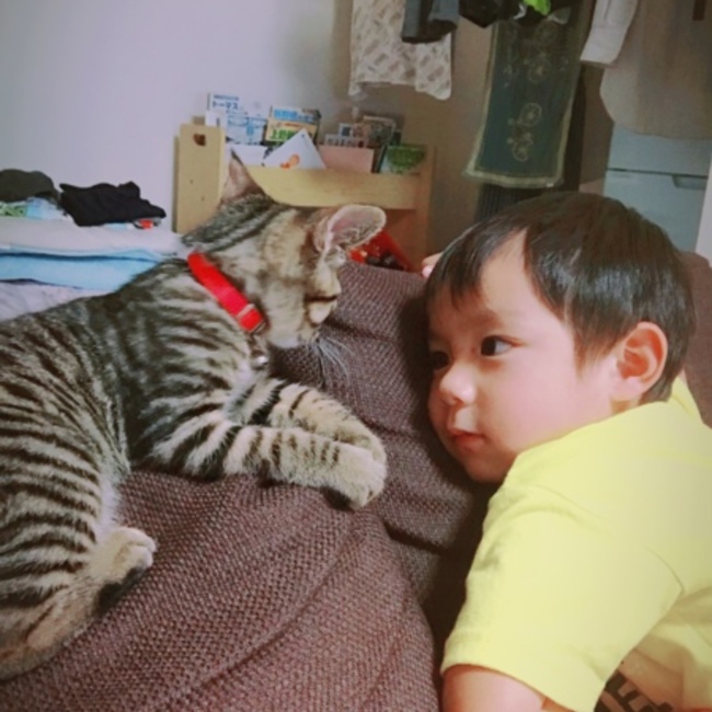 しーちゃん1002のカバー写真