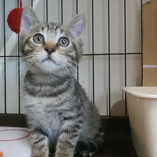 甘えん坊でおちゃめな男の子♥️