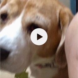 ブーケつまみ食いした？