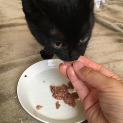 頑張って食べてます(食べるの下手リターンず)