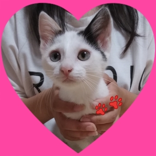 【トライアル決定】꙳★*ﾟまみちゃん꙳★*ﾟ