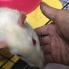 silivias15