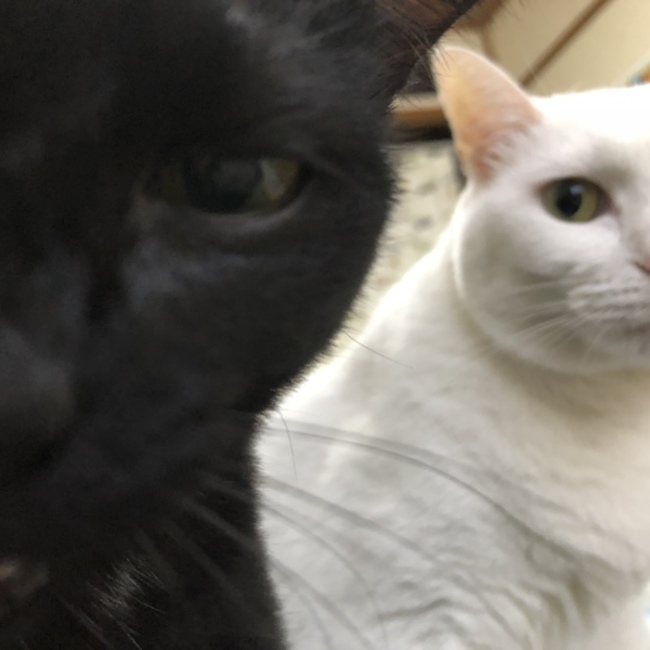 37ミナのカバー写真