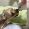 これから よろしくね❣️