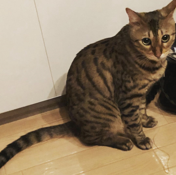 エマ