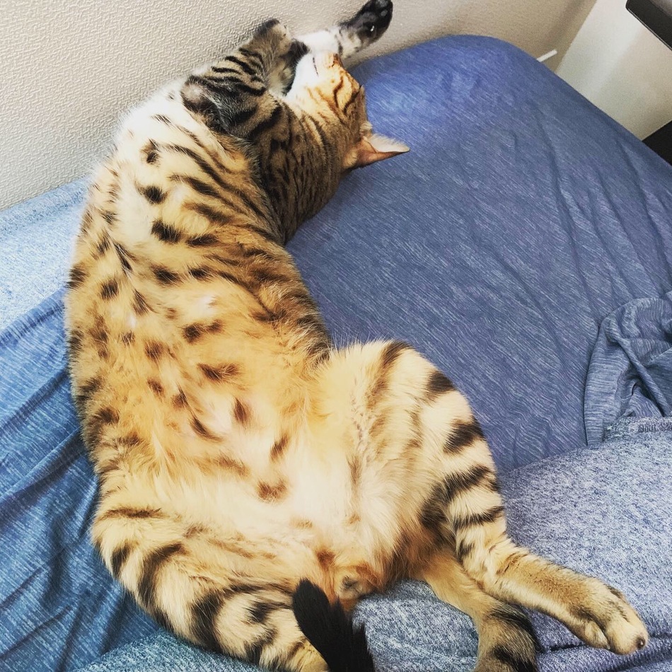 エマのカバー写真