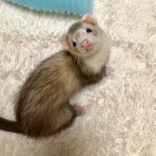 一旦募集を締め切らせていただきます