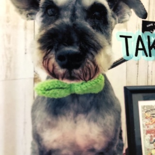 素敵な里親様に出会えました！！感謝！！