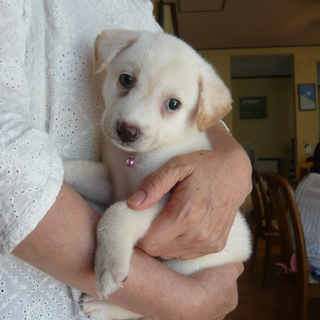 懐っこい女の子