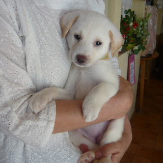 甘えん坊女の子