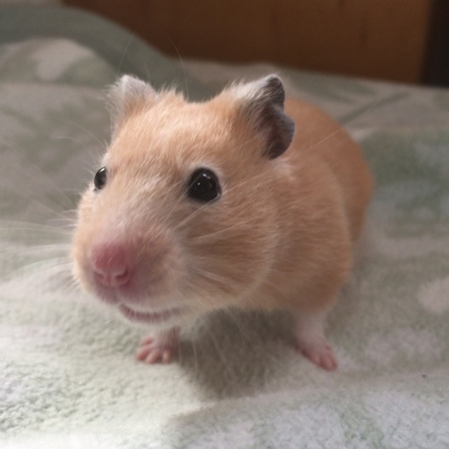 branch1128のカバー写真