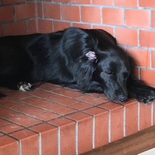 気配り上手ビビちゃん