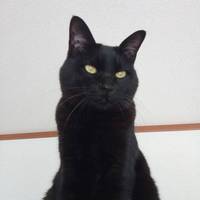 ミー太郎