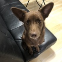 モネちゃん