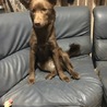 モネちゃん サムネイル3