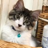 3ヶ月ごろ。