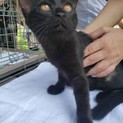 可愛い4姉妹です②