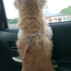 うちで初めての誕生日。