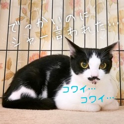 未知との遭遇　②