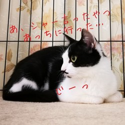 「未知との遭遇　②」サムネイル2