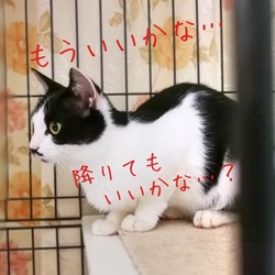 「未知との遭遇　②」サムネイル3