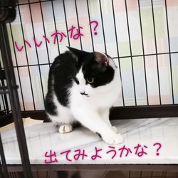 未知との遭遇　③