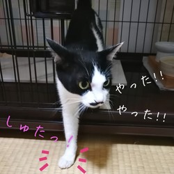 はじめの一歩!