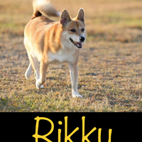 リッキー