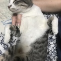 トライアル決定です！