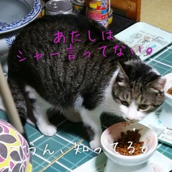 「未知の正体。」サムネイル3