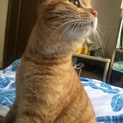 トニー君