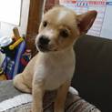 ☆素敵な家族ができました☆