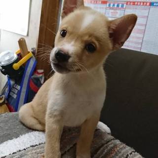 ☆素敵な家族ができました☆