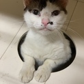 甘えん坊なララちゃん