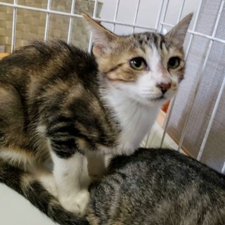 海シリーズ4兄妹☆ホタルくん2.5ヶ月